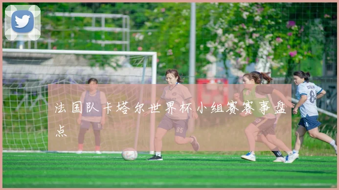 法国队卡塔尔世界杯小组赛赛事盘点