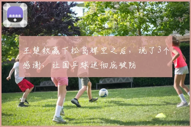 王楚钦赢下松岛辉空之后，说了3个感谢，让国乒球迷彻底破防